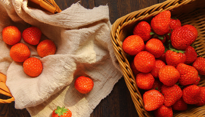 草莓能不能水培 草莓生长习性