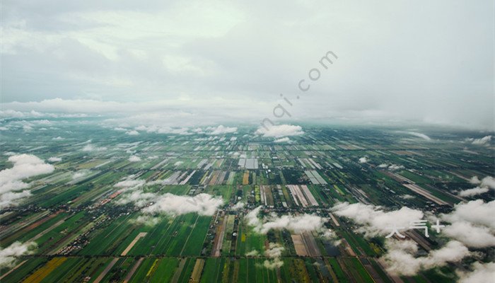 tqjia