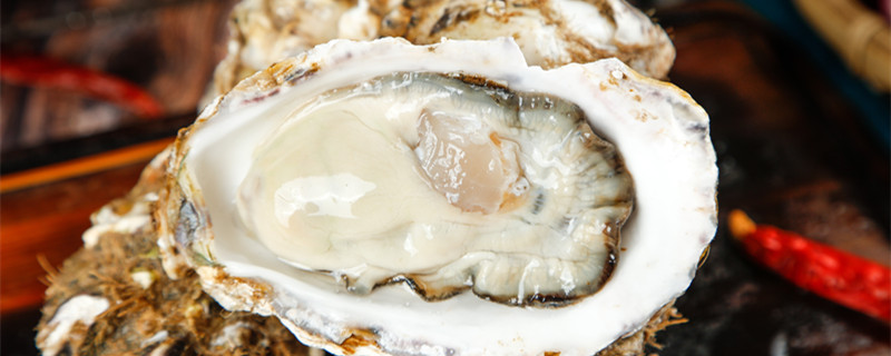 海蛎子蒸多长时间 海蛎子蒸多长时间最好吃