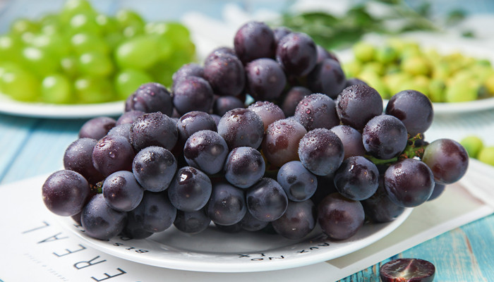 提子和马奶葡萄不同点是什么 马奶提葡萄好吃吗