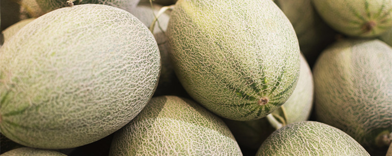 哈密瓜的籽能种吗 哈密瓜的籽能种出来吗
