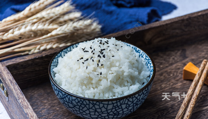 吃什么主食最好 tqjia
