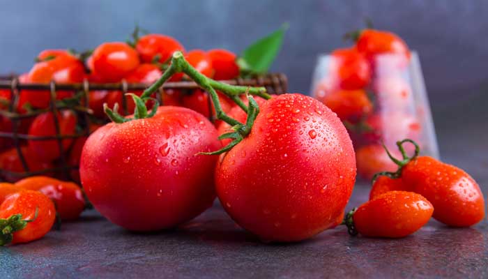 小西红柿是凉性还是热性  小西红柿是凉性还是热性水果