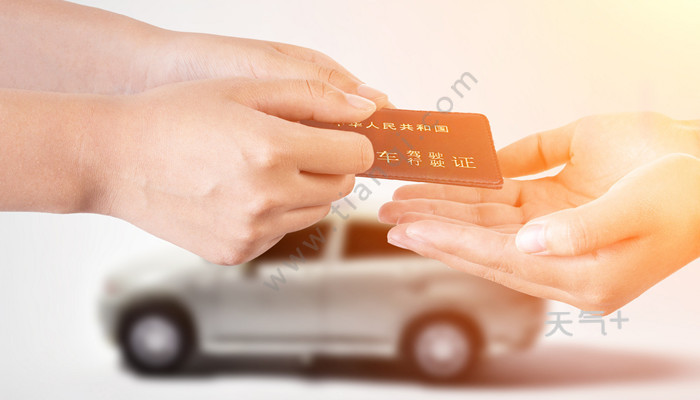 电话查询违章电话号码是多少 tqjia