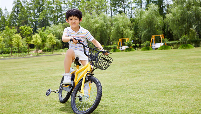 2021儿童自行车十大品牌排行榜 2021年儿童自行车十大品牌排行榜