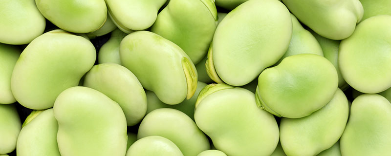 嫩蚕豆如何保存 如何长期保存新鲜蚕豆