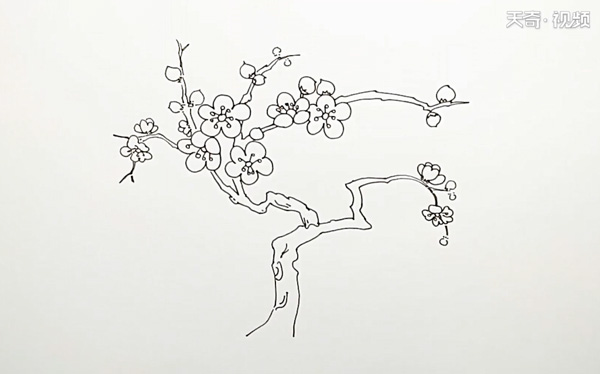 一整棵桃花树怎么画桃花树怎么画简单好看