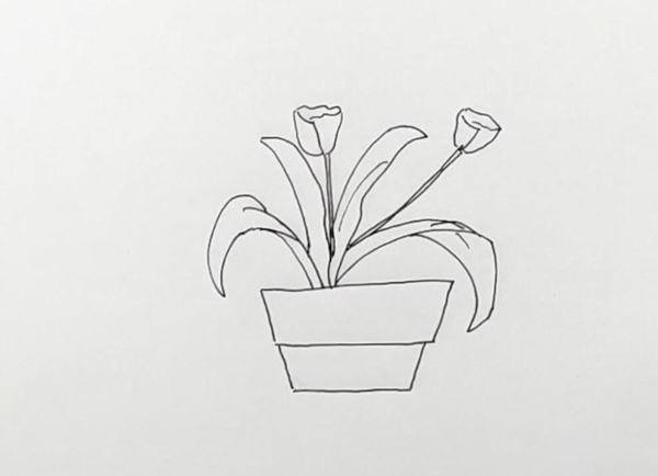 花盆画法简单图片