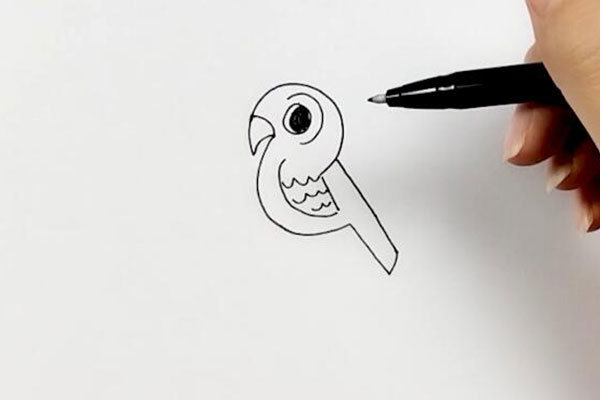 小鸟眼睛怎么画图片