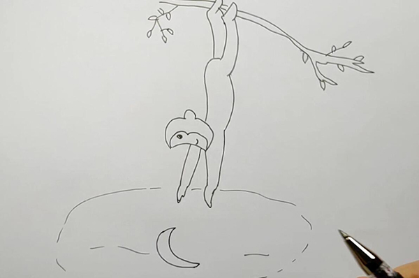 小猴子捞月亮简笔画猴子捞月简笔画6张