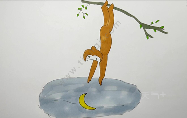 小猴子捞月亮简笔画猴子捞月简笔画6张