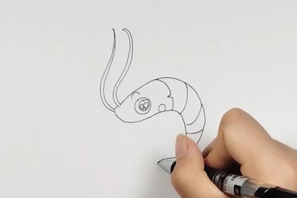 虾的简笔画画虾的步骤