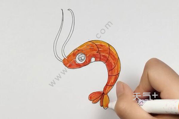 虾的简笔画 画虾的步骤
