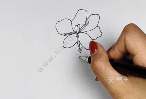 tqjia