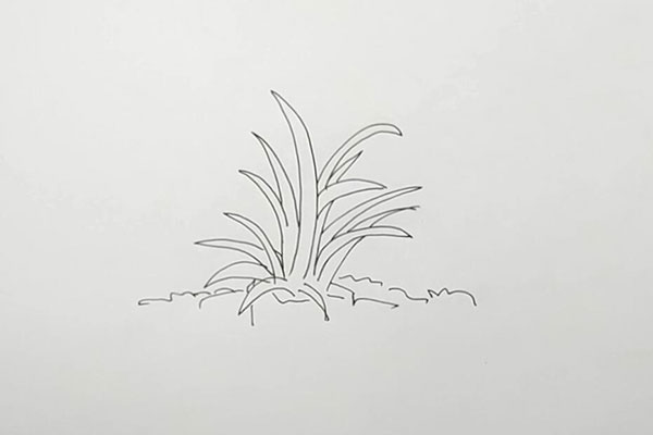 如何一步一步画草丛草丛的画法