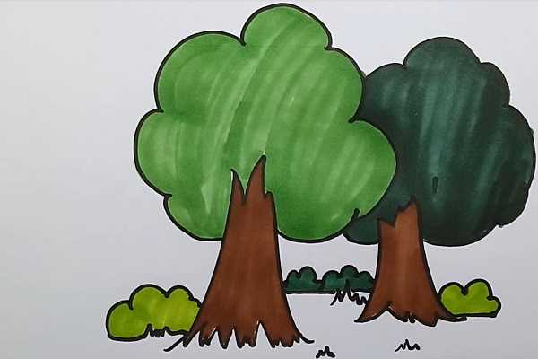 小树林简笔画彩色图片