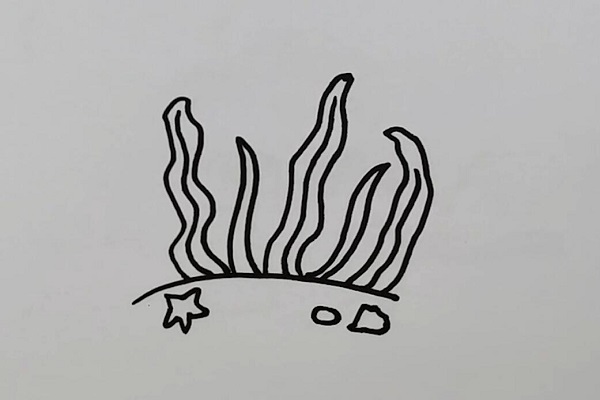 简笔画水草的画法简单的水草的画法