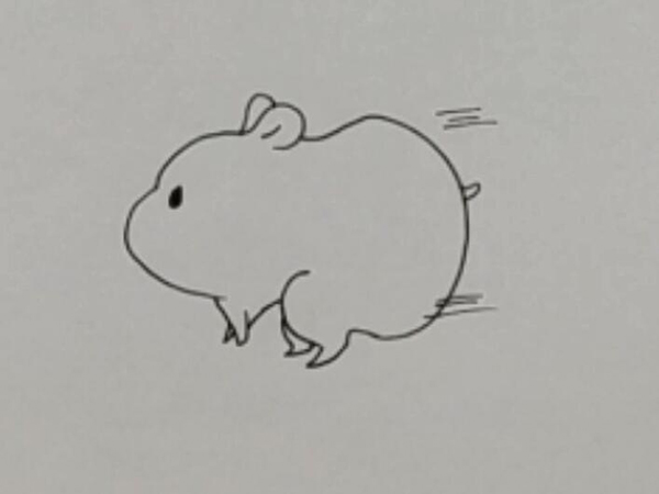 一步一步教你画小仓鼠画一只萌萌的小仓鼠画
