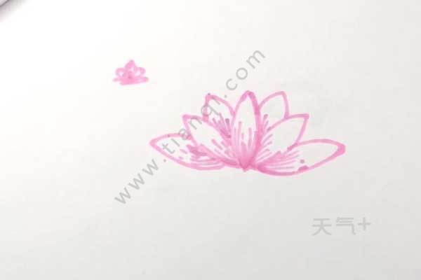 tqjia