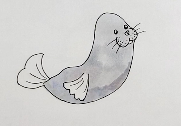 海豹简笔画怎么画小海豹怎么画可爱