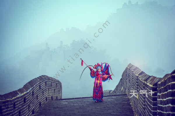 tqjia