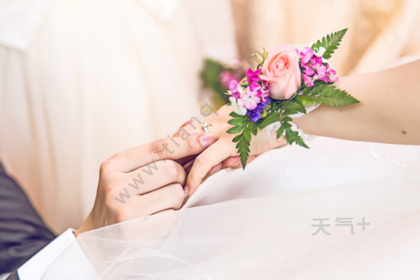 各个年龄段的婚姻 tqjia