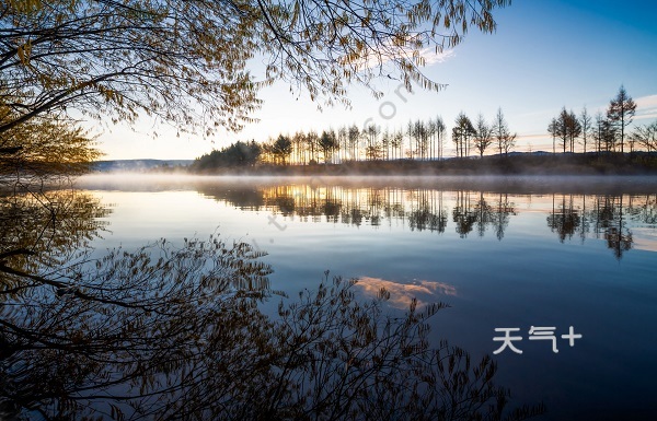 描写风的古诗句 关于风的古诗有哪些