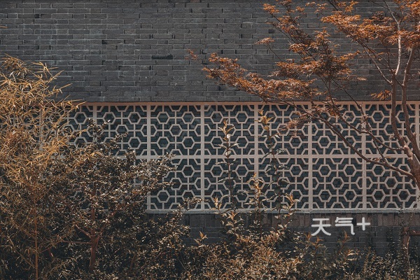 关于亲情的诗句有哪些 描写家人亲情的诗句