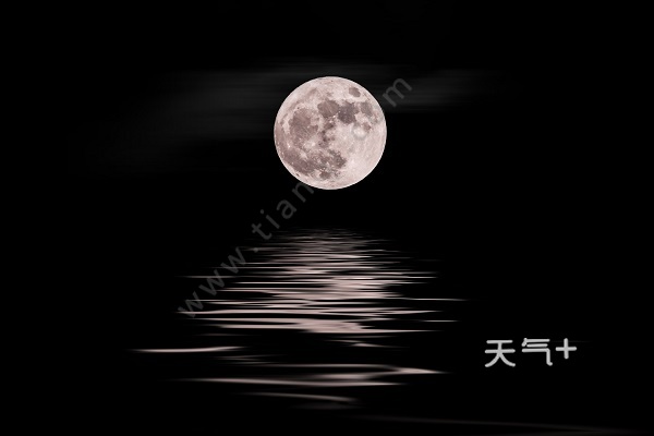 tqjia