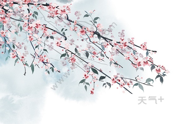 tqjia