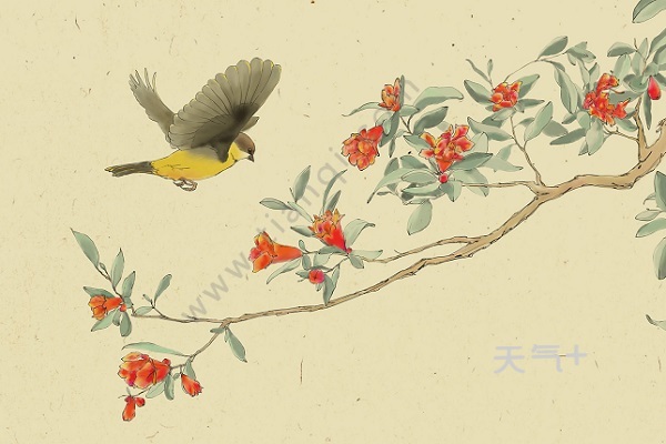 题榴花拼音版古诗题榴花韩愈注音版