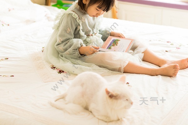 什么是单韵母 tqjia