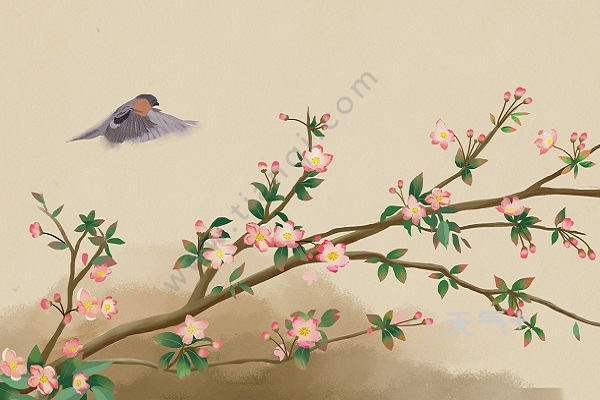 海棠宋苏轼古诗带注音古诗海棠带拼音