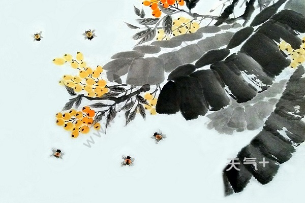 初夏游张园的诗意古诗初夏游张园的意思 天气加