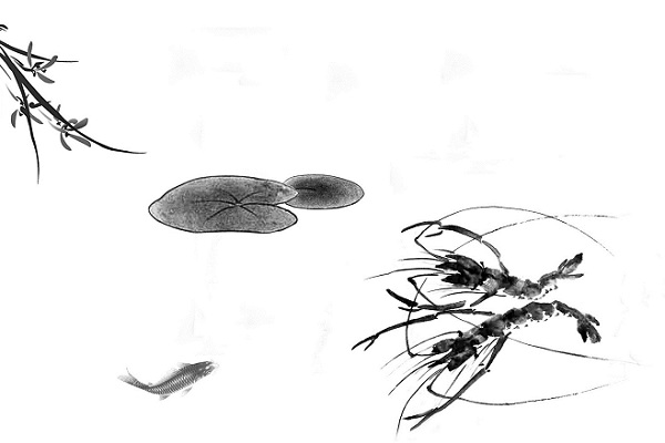 小虾的主要内容是什么小虾课文的主要内容