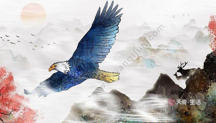 不见兔子不撒鹰是什么意思 不见兔子不撒鹰是什么