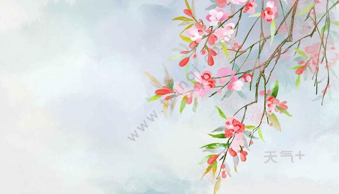 tqjia