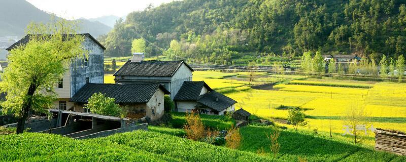 现在全国有多少人口_中国农民有多少人口中国农村人口有多少亿
