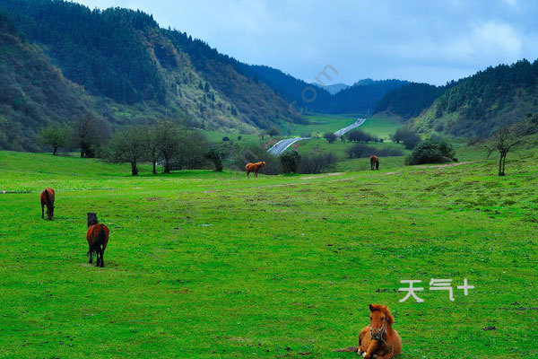 重庆旅游景点排行_今年国庆十大热门旅游城市,这个城市赶超成都排名第一