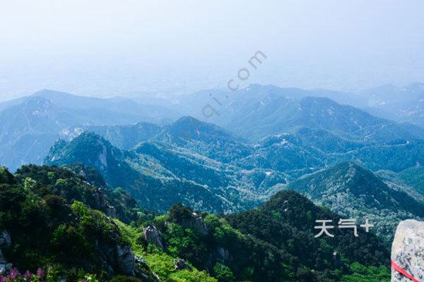tqjia
