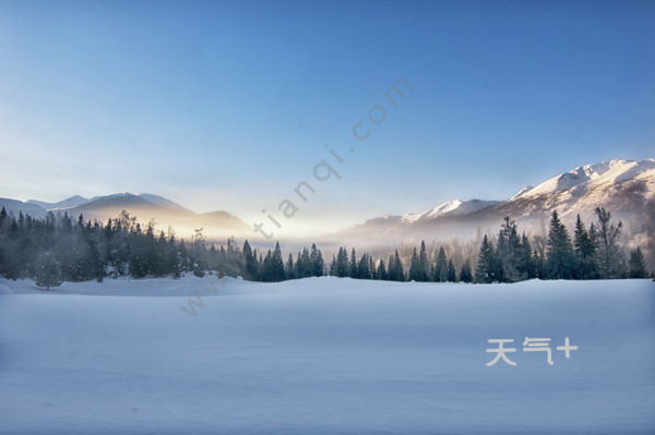 tqjia