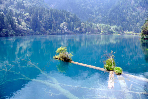 九寨沟什么时候对散客开放 九寨沟对散客