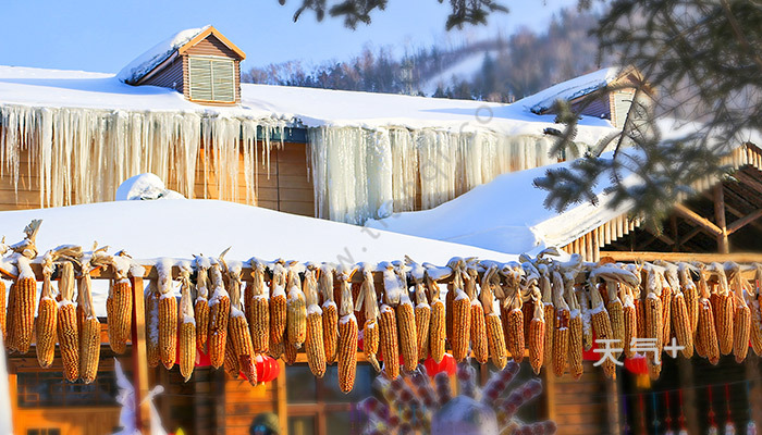 哈尔滨烤肉排行榜_哈尔滨在售楼盘热度排名“新鲜出炉”快来看看有没有你家小区!