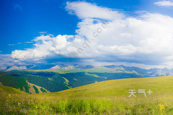 新疆景点排行榜_国庆景点推荐,新疆大巴扎#低音号免费语音导游#