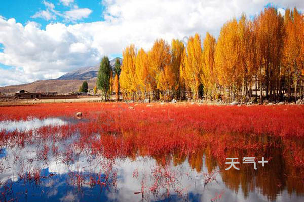 桑堆红草地的最佳旅游时间是什么时候 