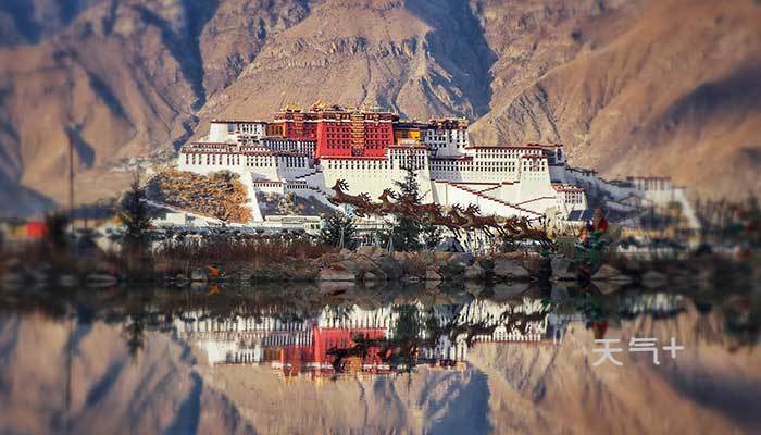 布钱排行榜_十大彩妆品牌排行榜之拿破仑·布得斯