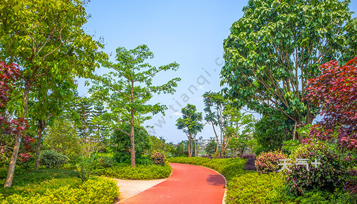 tqjia