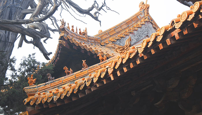 何仙姑家庙几点开放 广州何仙姑家庙每天几点开门