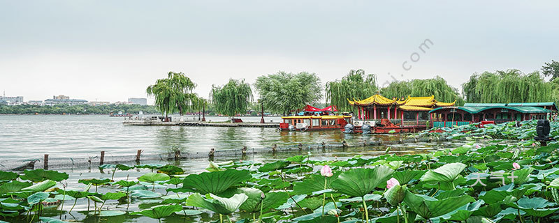 济南市配餐公司2020_2020年度济南市瞪羚企业名单的公示(2)