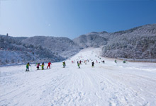 萬龍滑雪場在哪 萬龍滑雪場的位置